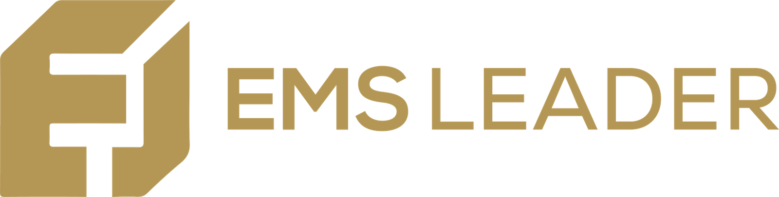 EMS Leader Academy